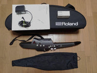 Roland Other Aerophone Ae-10