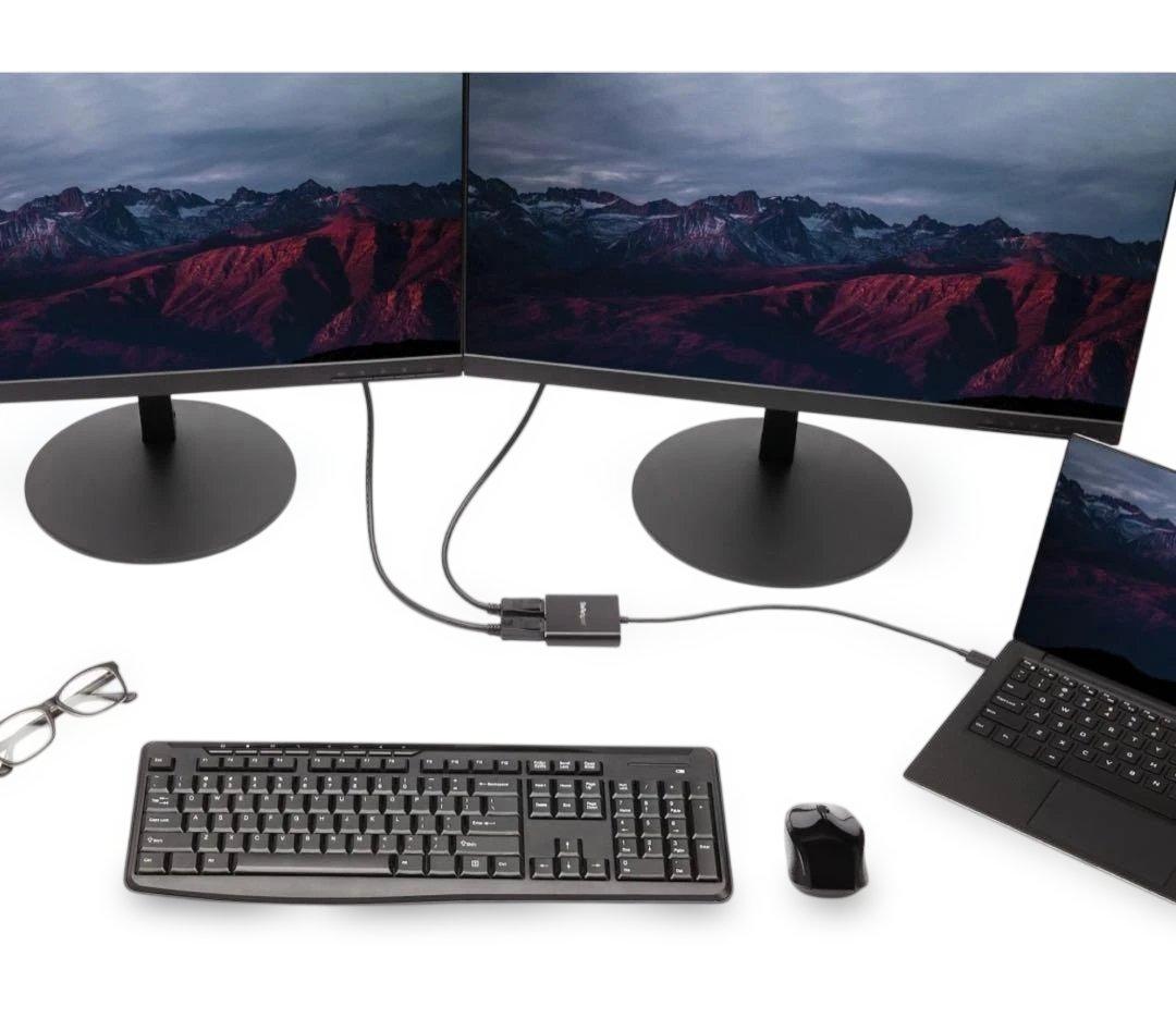 Displayport Cable Usb-C To 2X Type-C