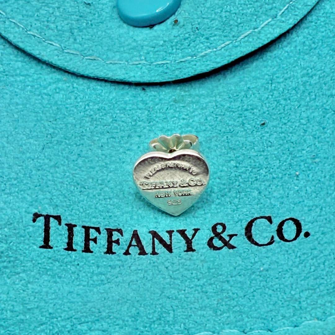Tiffany Earrings (Single)