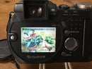 Fujifilm Compact Digital Camera Finepix 6900Zoom