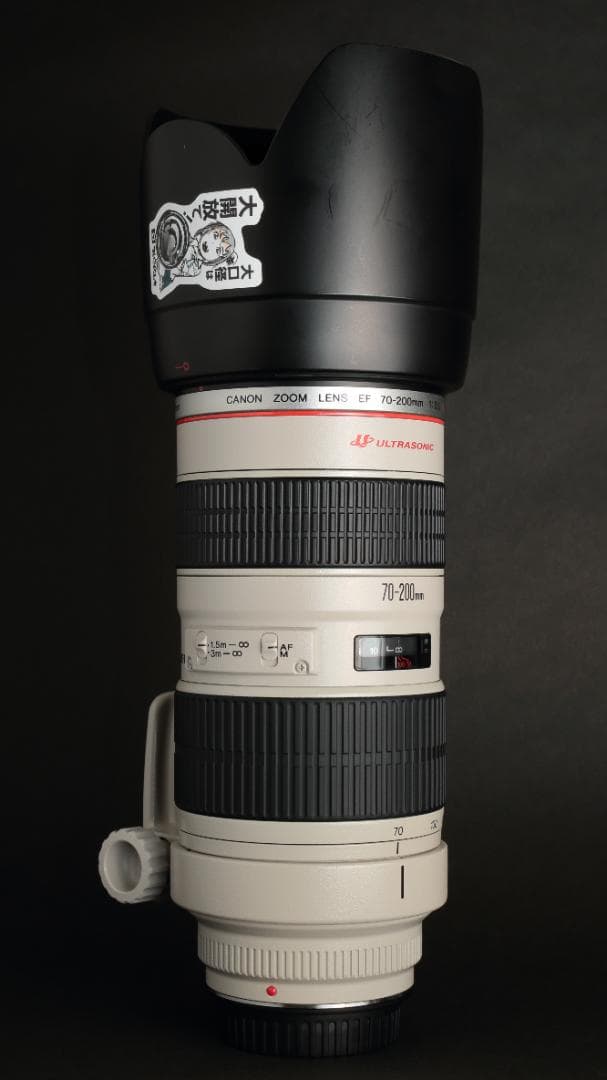 Canon Lens (Zoom) Ef70-200Mm F2.8L Usm