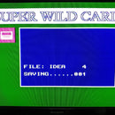 Super Famicom Peripherals Wild Card Sms3201