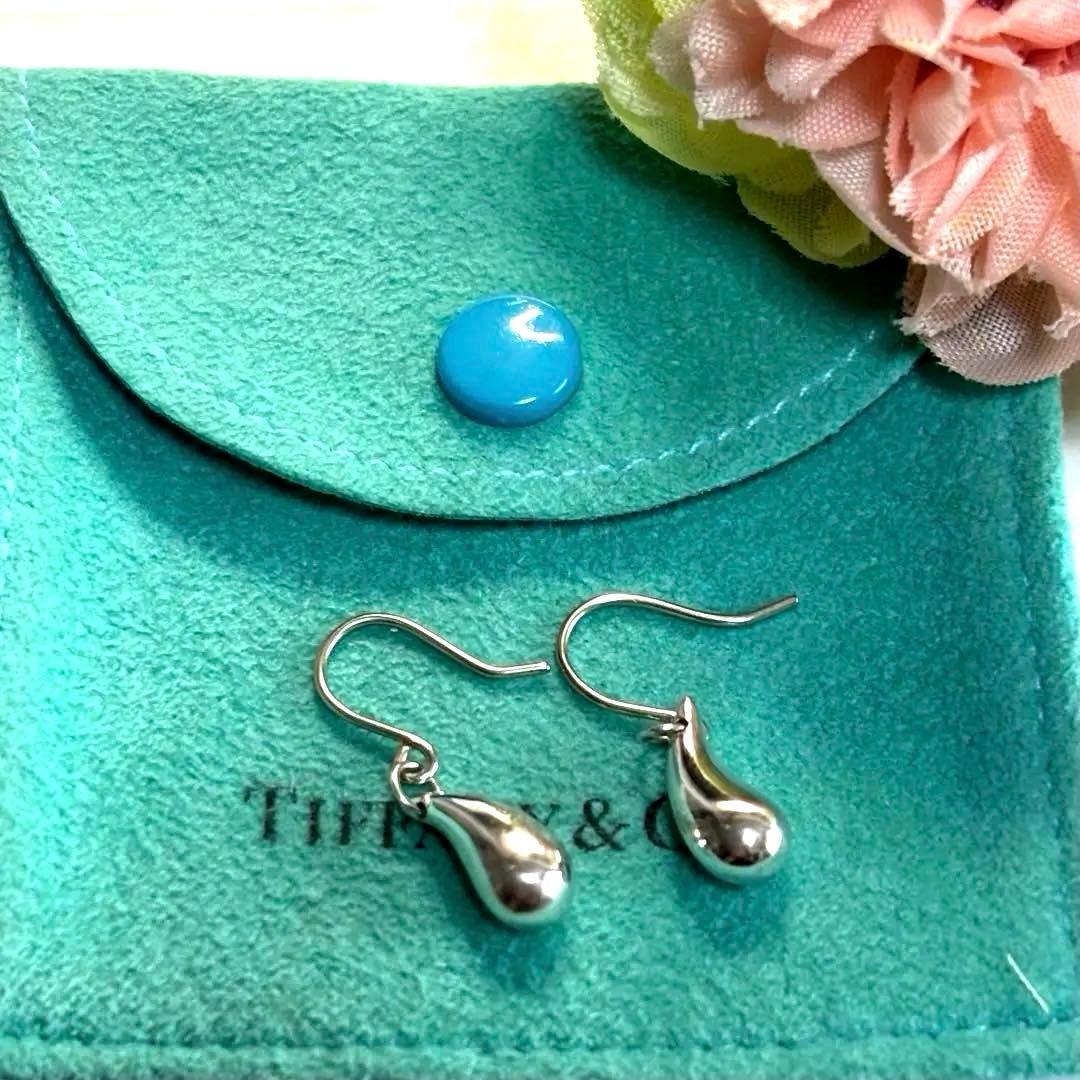 Tiffany Earrings (Pairs) Tiffany&Co. 925