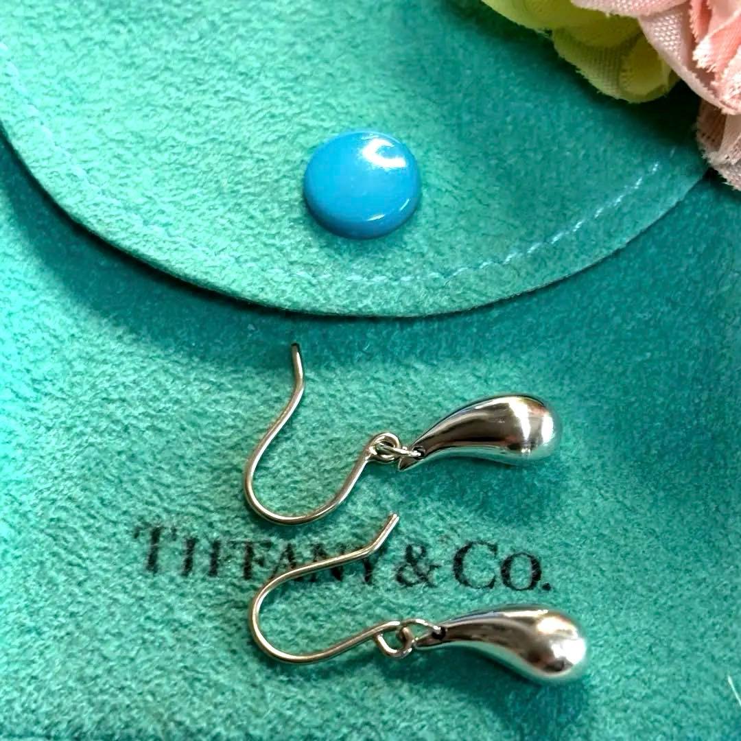 Tiffany Earrings (Pairs) Tiffany&Co. 925
