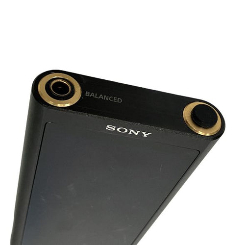 Digital Audio Player Sony Nw-Zx300 T11417533