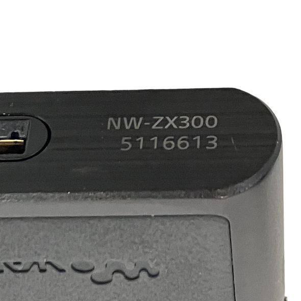 Digital Audio Player Sony Nw-Zx300 T11417533