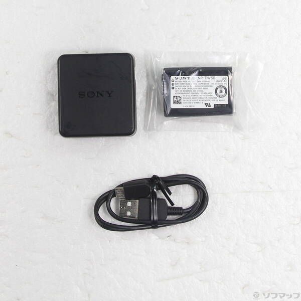 Sony Mirrorless Interchangeable Lips 5100 Ilce-5100 262