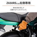Others (Daytona) Z650Rs(22) 32489As