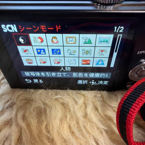 Leica Compact Digital Camera V-Lux30