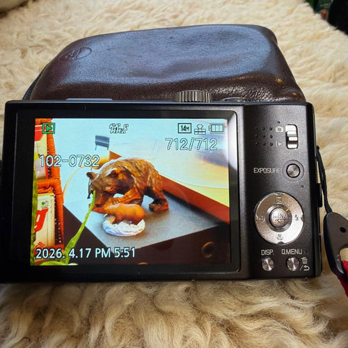 Leica Compact Digital Camera V-Lux30