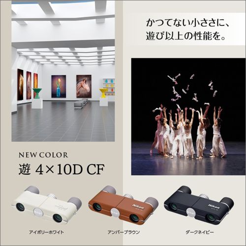 Nikon Others 4X10D Cf Iw 4 Yu4X10Dcfiw