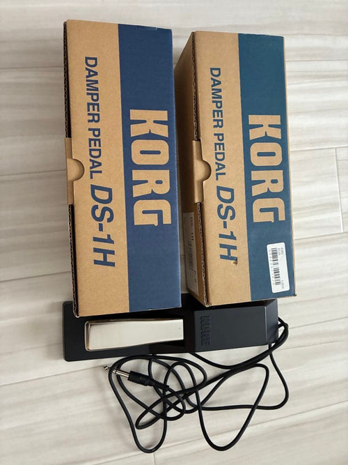 Korg Others Ds-1H 2