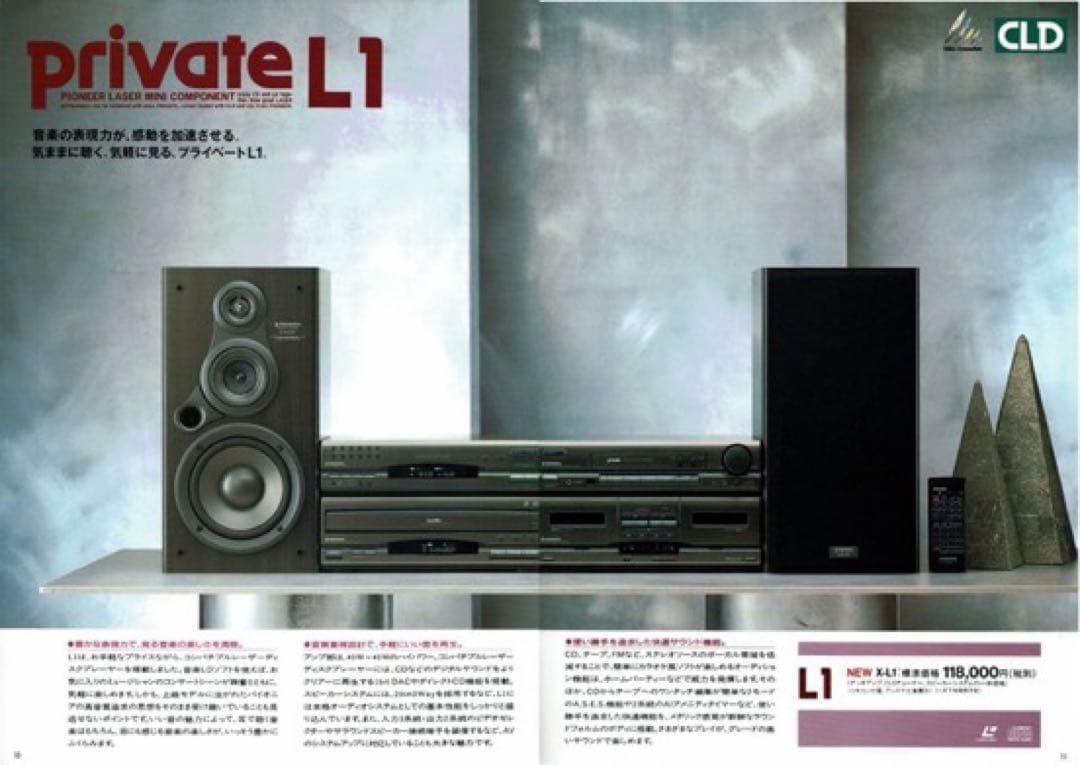 Pioneer Others Private L1