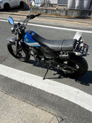 Motorcycle Body Tw225