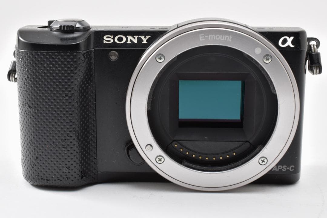 Mirrorless Interchangeable Lens Cameras 5000 Ilce-5000 #22994