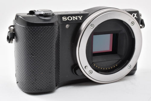 Mirrorless Interchangeable Lens Cameras 5000 Ilce-5000 #22994