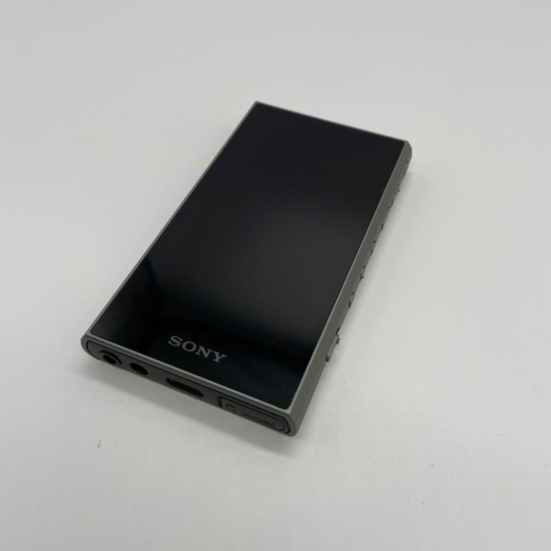 Sony Portable Players Nw-306