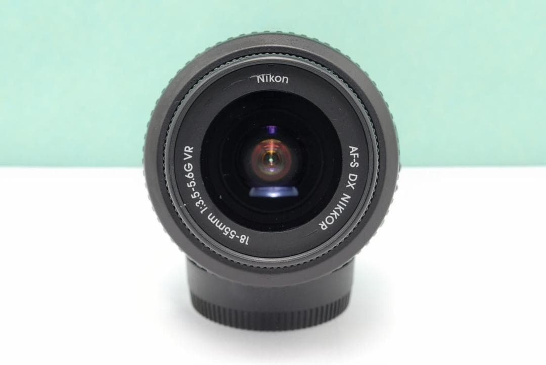 Nikon Digital Slrs D3100