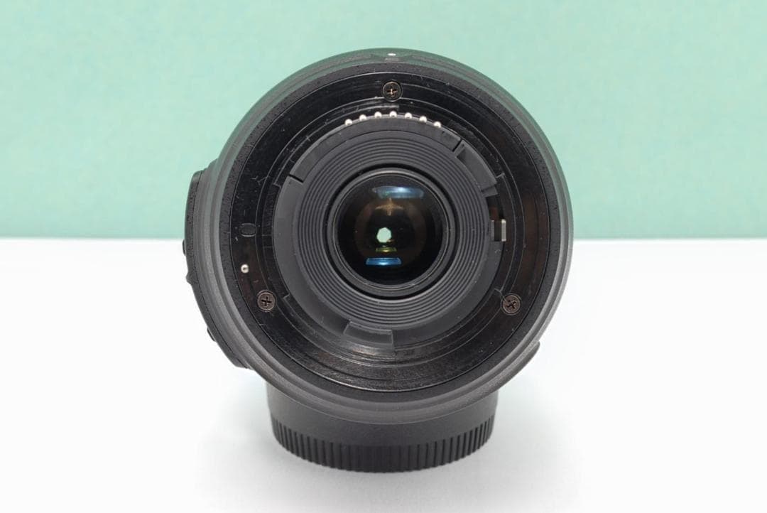 Nikon Digital Slrs D3100
