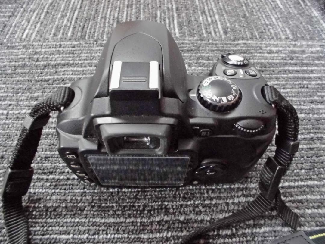 Nikon Zoom Lenses D40X