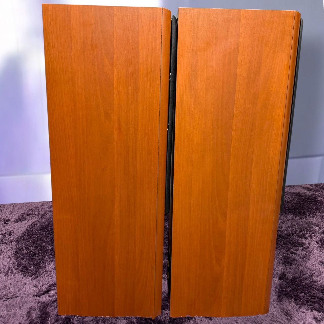 Denon Speaker Sc-T555Sa M