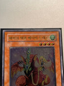 Yu-Gi-Oh! Ocg Duel Monsters (Japanese) 200