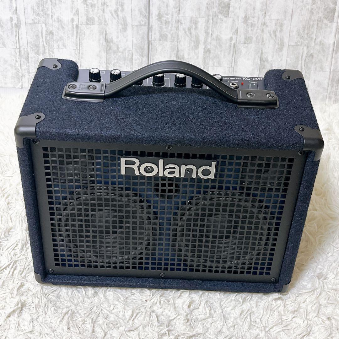 Roland Keyboard Amplifiers Kc-220