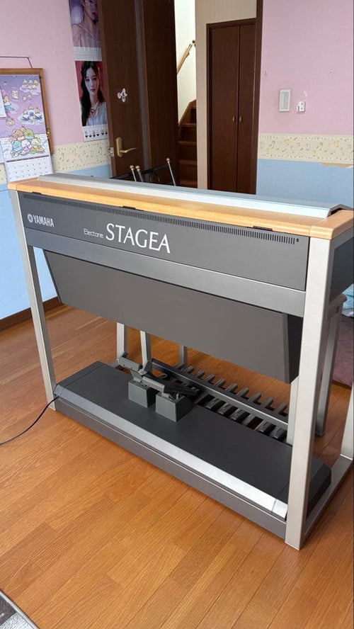 Yamaha Electronic Organs Stagea Els-01