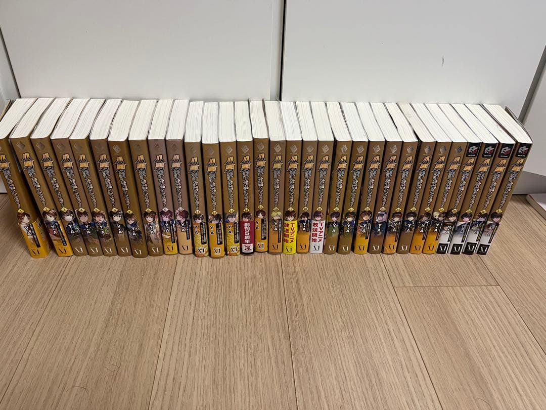 Literature Novel 1~31