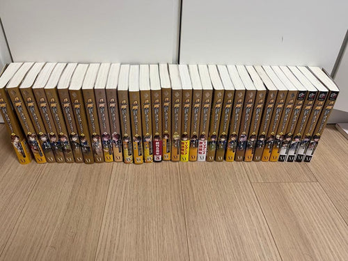 Literature Novel 1~31