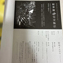 Boy'S Manga 17 18