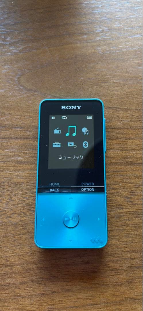 Sony Digital Audio Players Nw-S313
