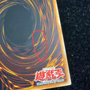 Yu-Gi-Oh! Ocg Duel Monsters (Foreign Languages)