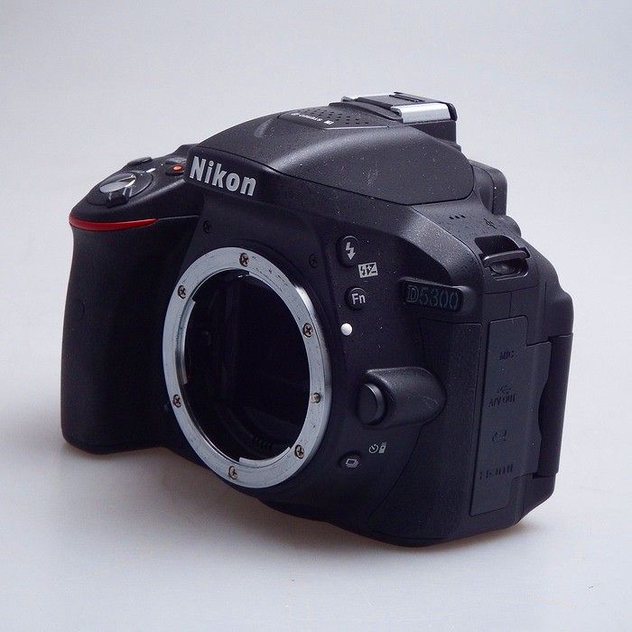 Nikon Others D5300