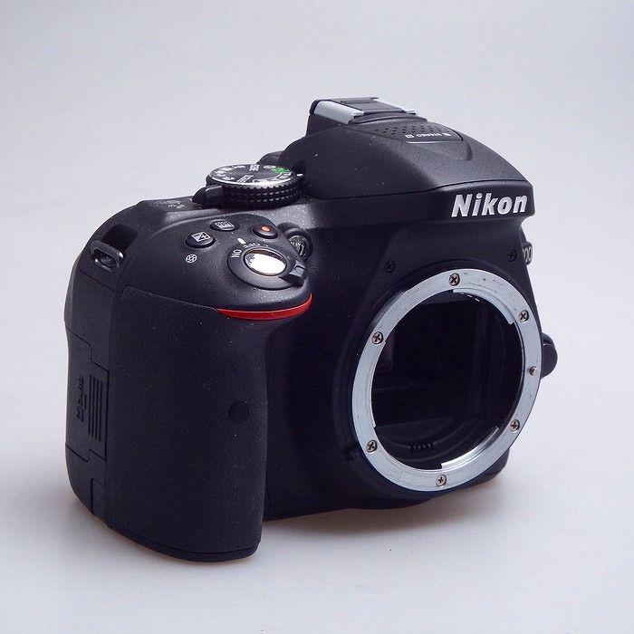 Nikon Others D5300