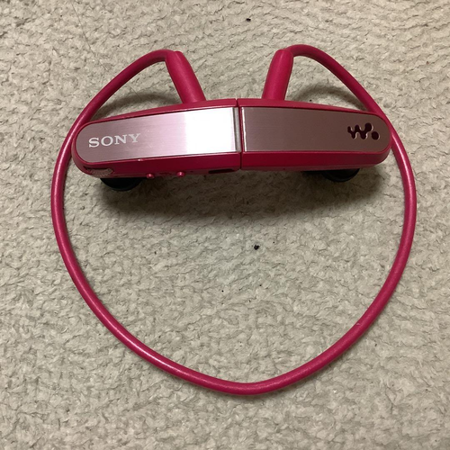 Sony Digital Audio Player W Nwd-W202