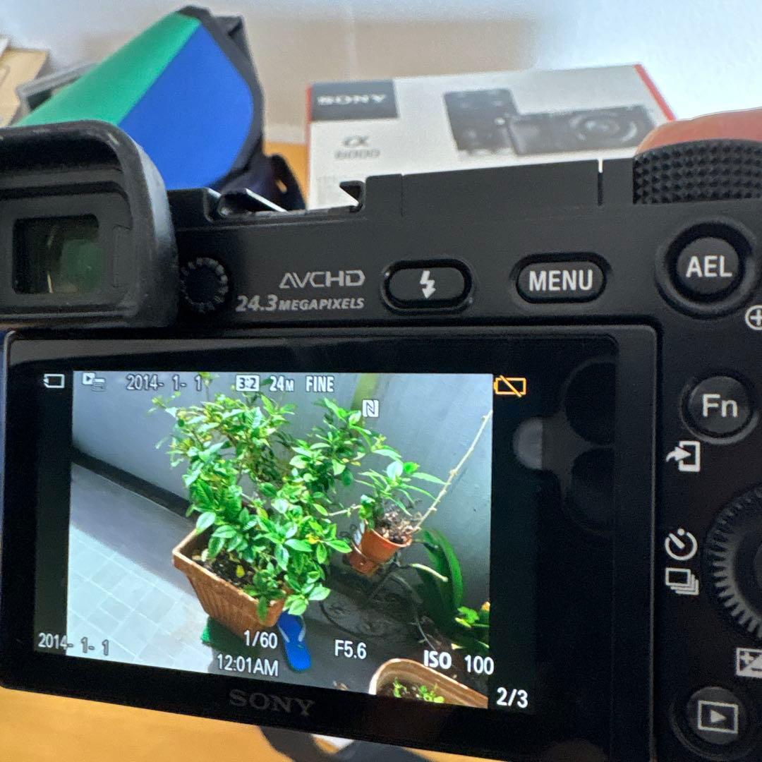 Sony Digital Slrs 6000