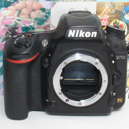Nikon Digital Slr D750 300