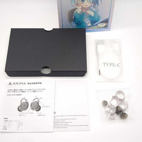 Onkyo Wireless Earphone Aow01