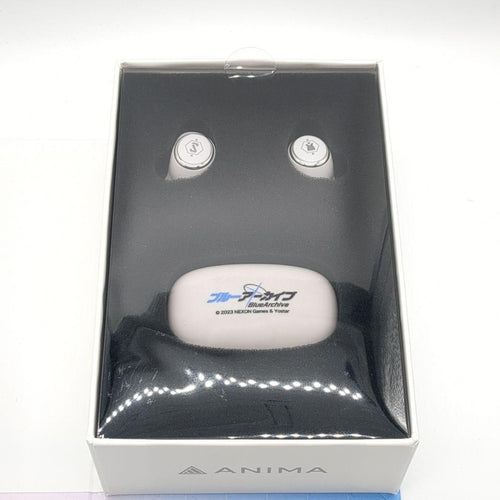 Onkyo Wireless Earphone Aow01