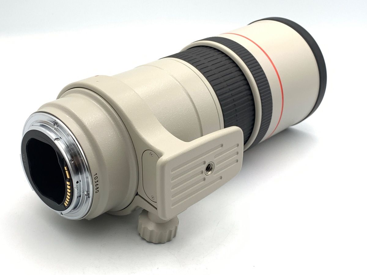 Lens (Single Focus) Ef300Mm F4L Is Usm