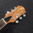Fernandes Electric Guitar Mg-70X