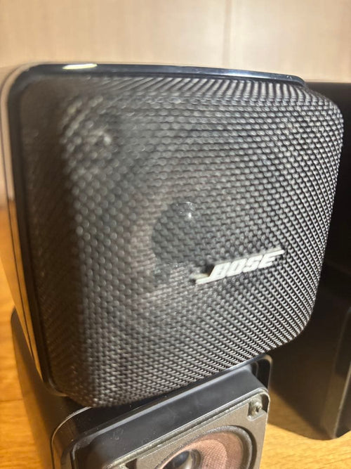 Bose Subwoofers 501Z