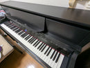 Roland Keyboards Digital Pianos Lx-5Gp 25