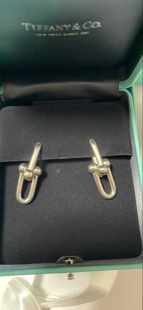 Tiffany Earrings (Pairs) 2026