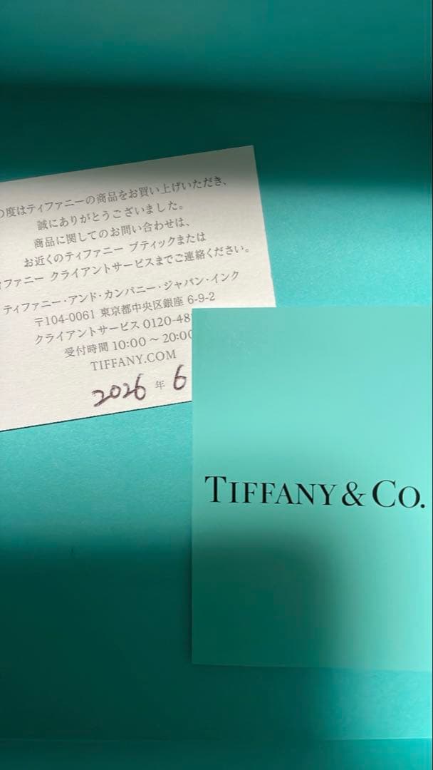 Tiffany Earrings (Pairs) 2026