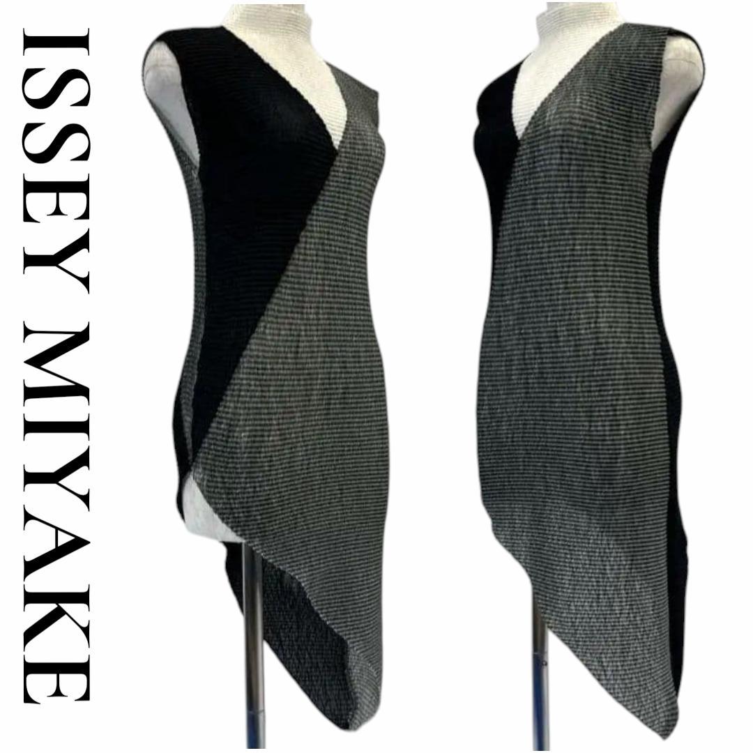 Issey Miyake No Sleeve