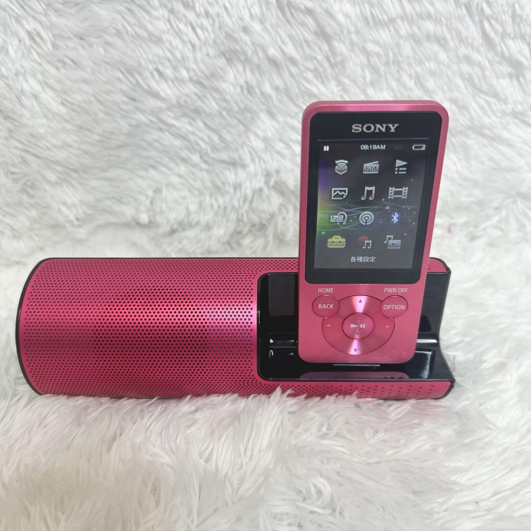 Sony Digital Audio Players Walkman Nw-S13 Bluetooth 4Gb