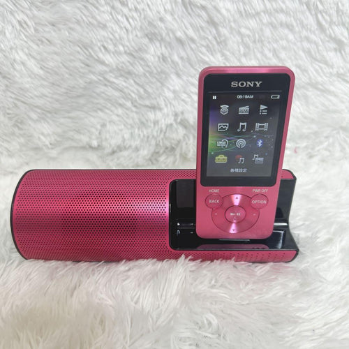Sony Digital Audio Players Walkman Nw-S13 Bluetooth 4Gb