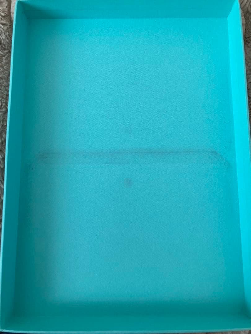 Tiffany Necklace Co.